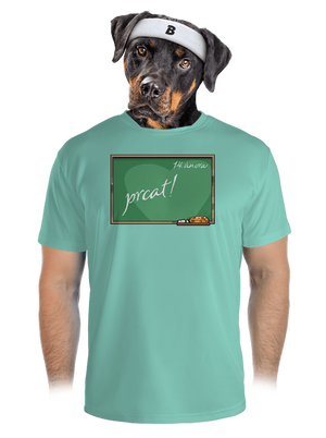 pánské sportovní tričko