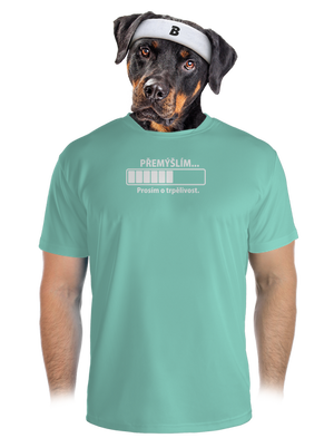 Přemýšlím pánské sportovní tričko Mint Mal