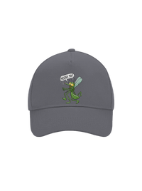 kšiltovka baseballka