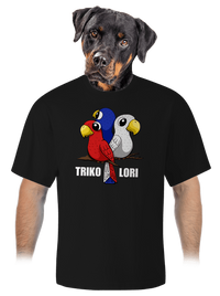 unisex tričko oversized