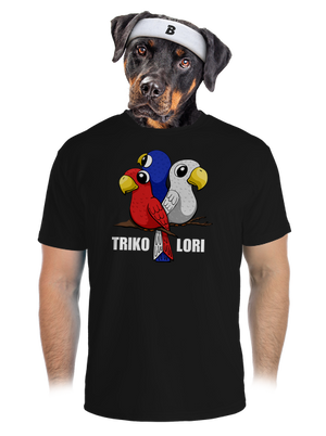 pánské sportovní tričko