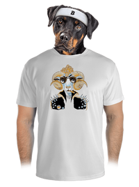 pánské sportovní tričko