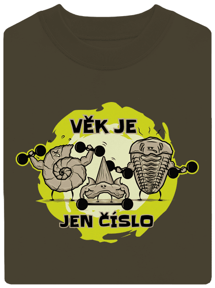Věk je jen číslo unisex mikina bez kapuce Urban Khaki