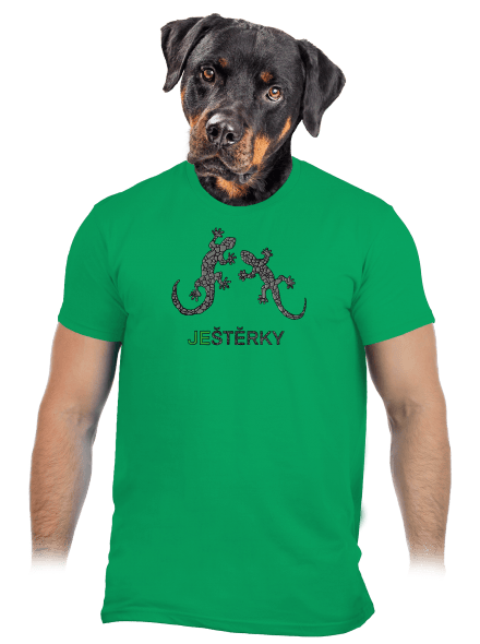 Ještěrky pánské tričko Kelly Green