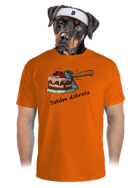 pánské sportovní tričko