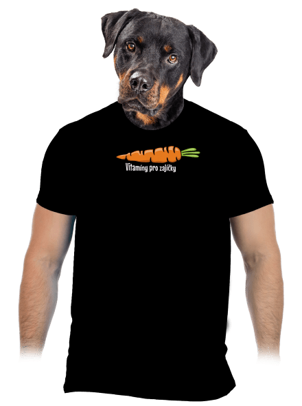 Vitamíny pro zajíčky pánské tričko Black