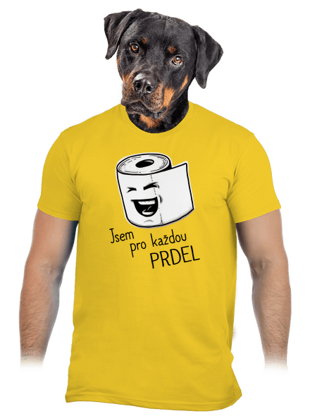 Prdel pánské tričko Gold