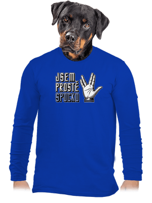 pánské dlouhý rukáv