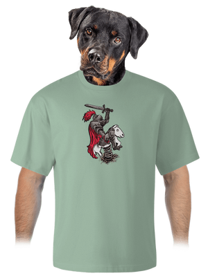 Rytíř unisex tričko oversized Sage