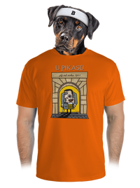 pánské sportovní tričko