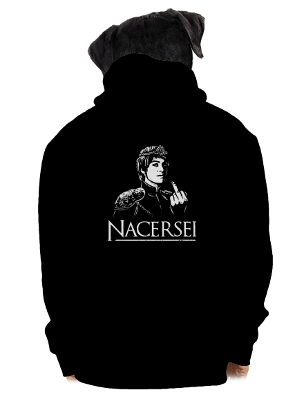 Nacersei pánská mikina na zip Black