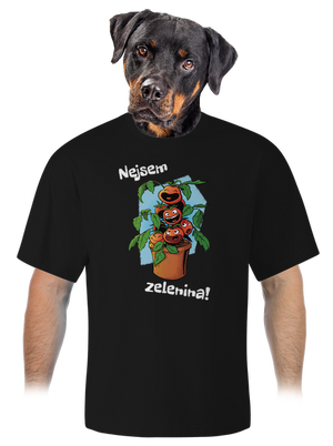 unisex tričko oversized