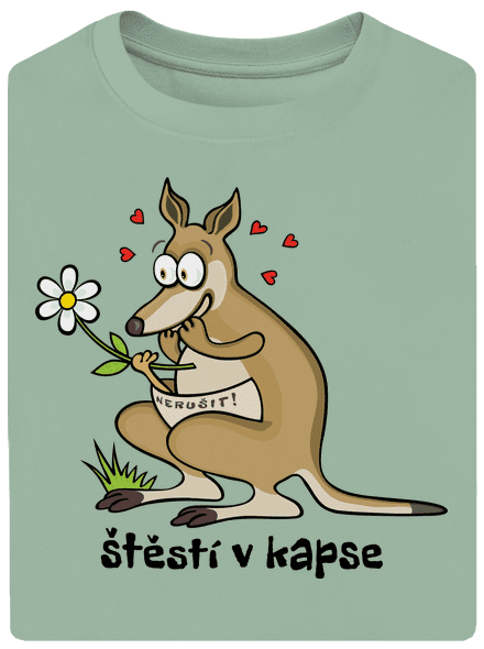 Štěstí v kapse unisex tričko oversized Sage