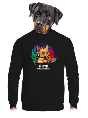Mistr virtuálního světa unisex mikina bez kapuce Black