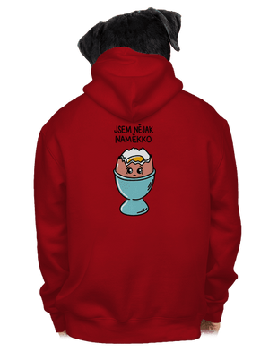 pánská mikina na zip