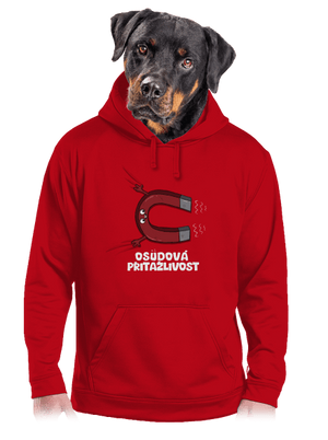 pánská mikina klokanka