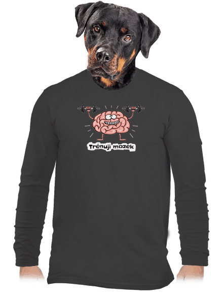 Trénuji mozek pánské dlouhý rukáv Dark Grey