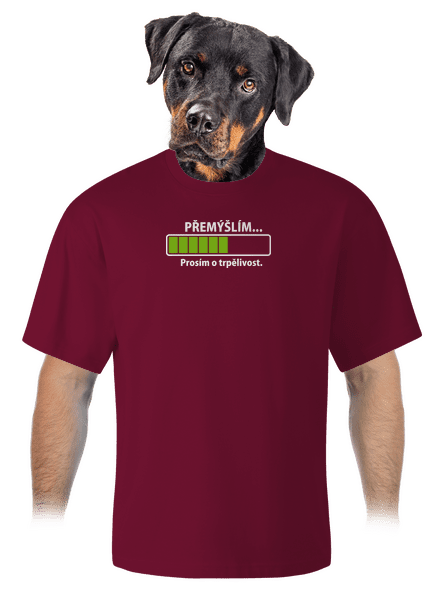 Přemýšlím unisex tričko oversized Garnet