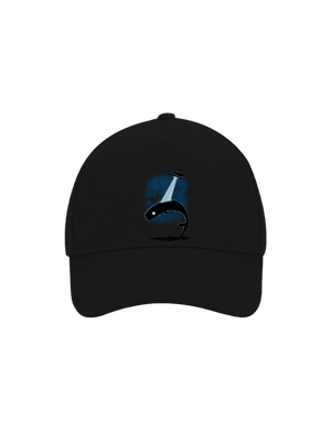 kšiltovka baseballka