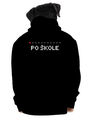 pánská mikina na zip