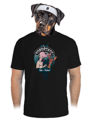 pánské sportovní tričko