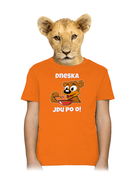 Dneska jdu po o dětské tričko Orange