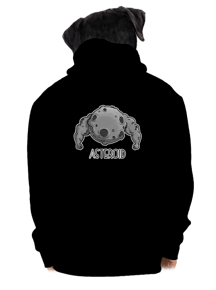 Asteroid pánská mikina na zip Black
