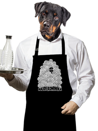 zástěra