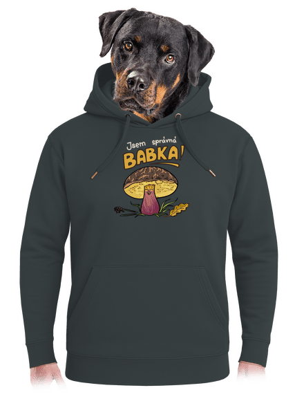 Babka a hříbeček unisex mikina premium Charcoal