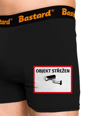 Objekt střežen boxerky Black