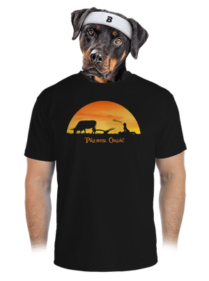 pánské sportovní tričko