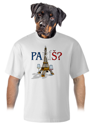 Paříš unisex tričko oversized White