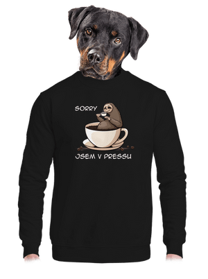 V pressu unisex mikina bez kapuce Black