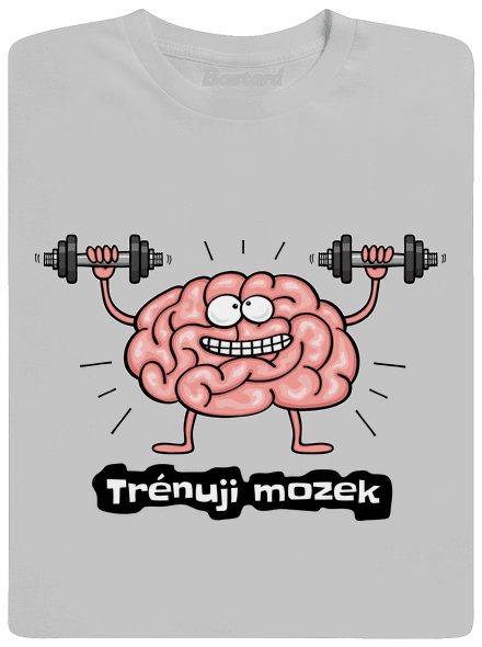 Trénuji mozek pánské tričko Pacific Grey