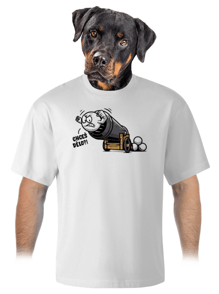 Chceš dělo? unisex tričko oversized White