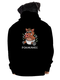 pánská mikina na zip