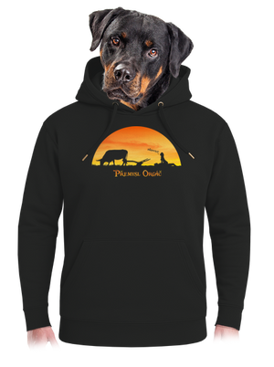 unisex mikina premium