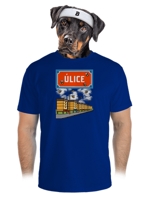 pánské sportovní tričko