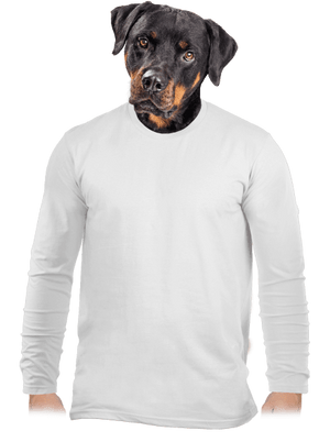 Bez potisku pánské dlouhý rukáv White