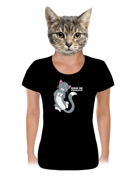 Chci se pomazlit dámské tričko Black