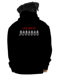 pánská mikina na zip