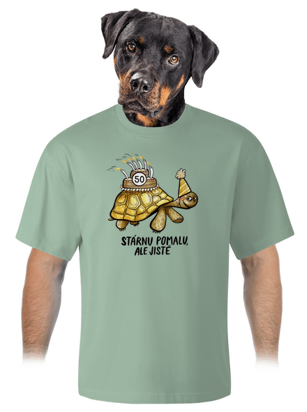 Stárnu pomalu unisex tričko oversized Sage