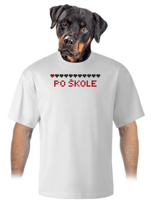 unisex tričko oversized