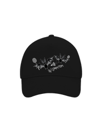 kšiltovka baseballka