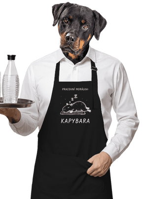 zástěra