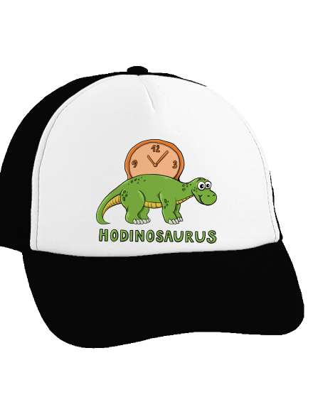 Hodinosaurus kšiltovka truckerka Black cap
