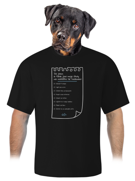 To do list na rozlučku se svobodou a fix unisex tričko oversized Black