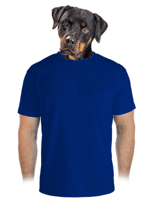 pánské sportovní tričko