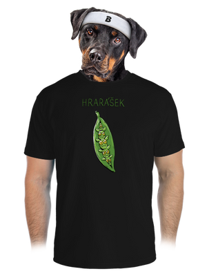 pánské sportovní tričko