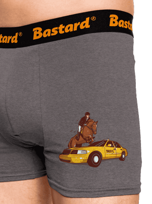 Taxis boxerky Gray Melange